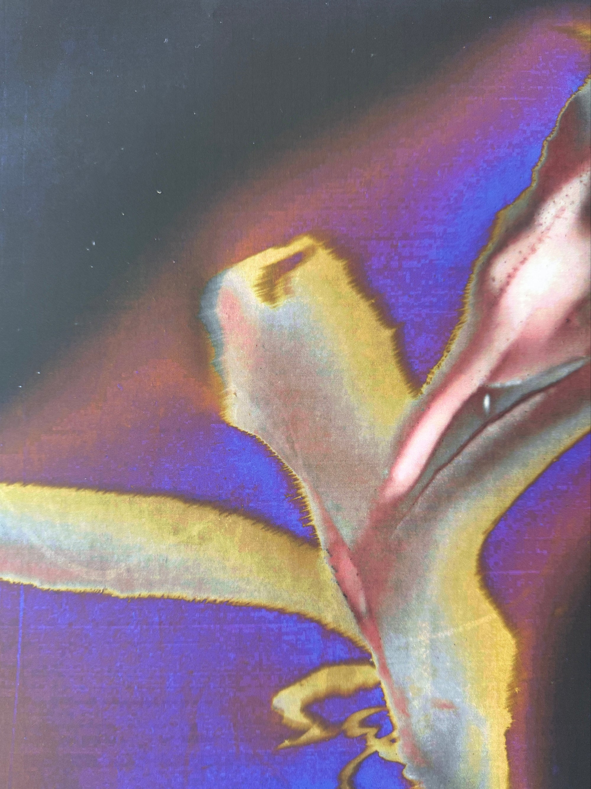 NIGHT SKY - Fine Art Print 50x70cm