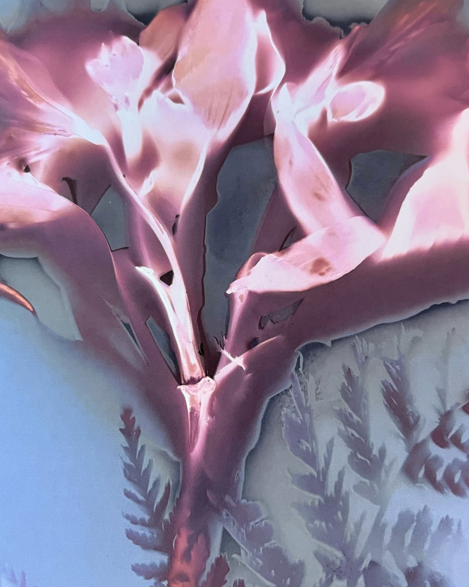 SAY YES - Fine Art Print 50x70cm