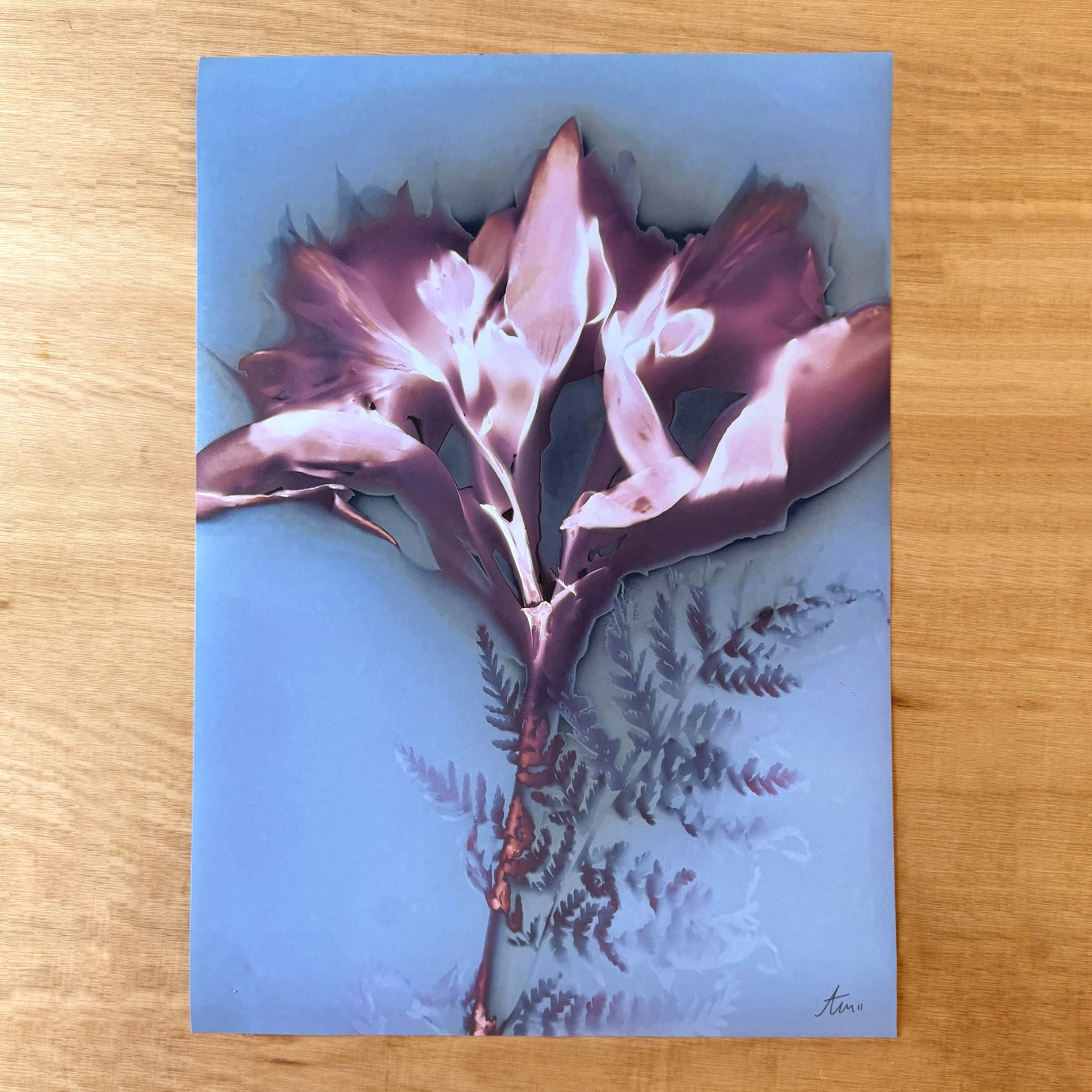 SAY YES - Fine Art Print 50x70cm