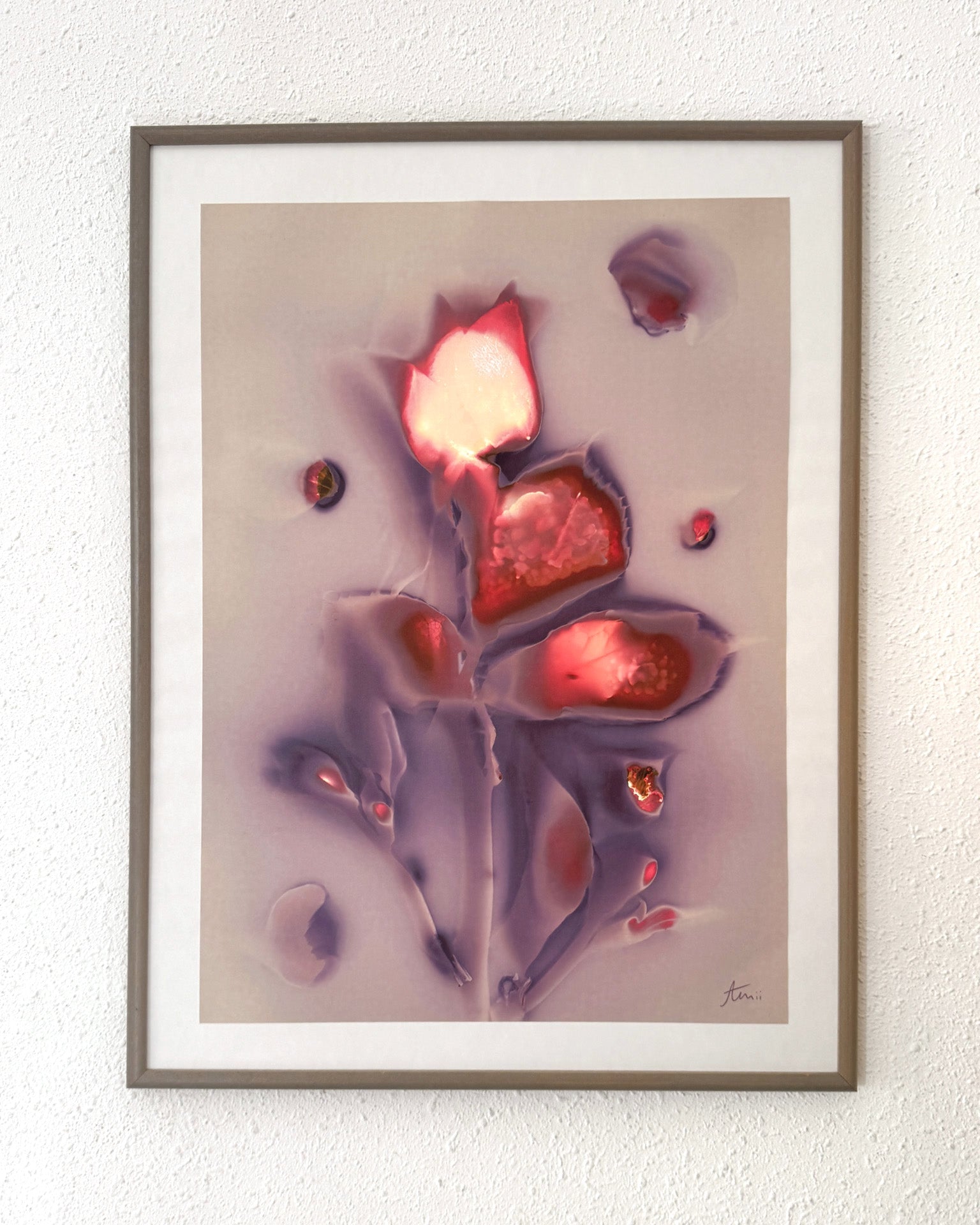 MODERN FLOWER PORTRAIT - Fine Art Print 50x70cm