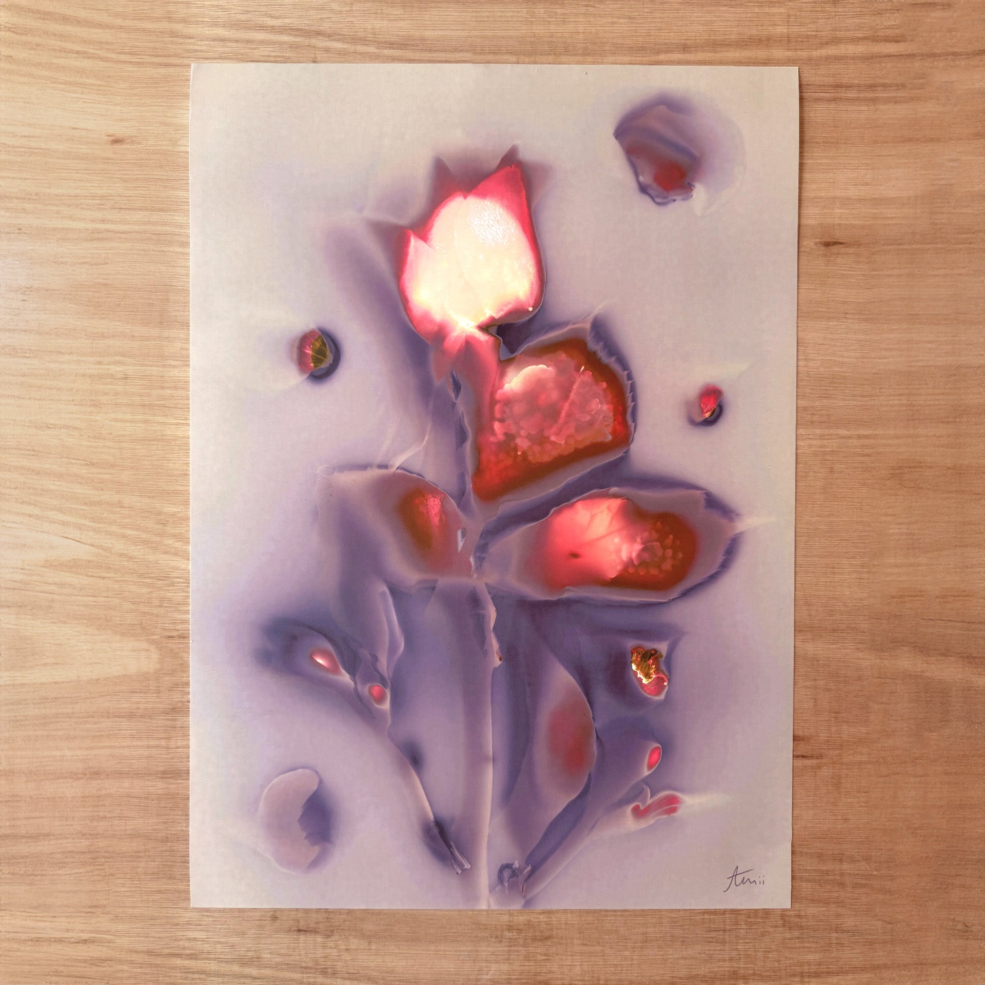 MODERN FLOWER PORTRAIT - Fine Art Print 50x70cm