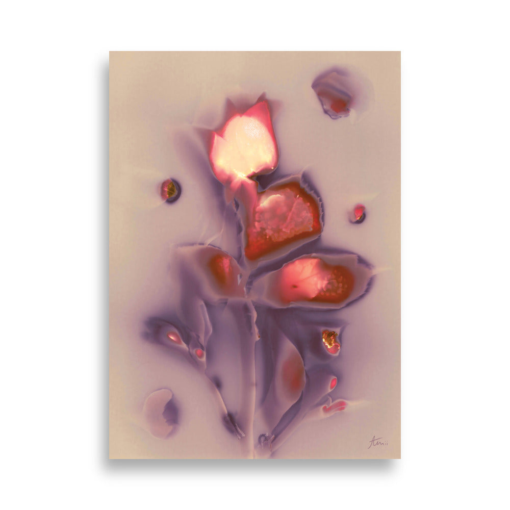 MODERN FLOWER PORTRAIT - Fine Art Print 50x70cm