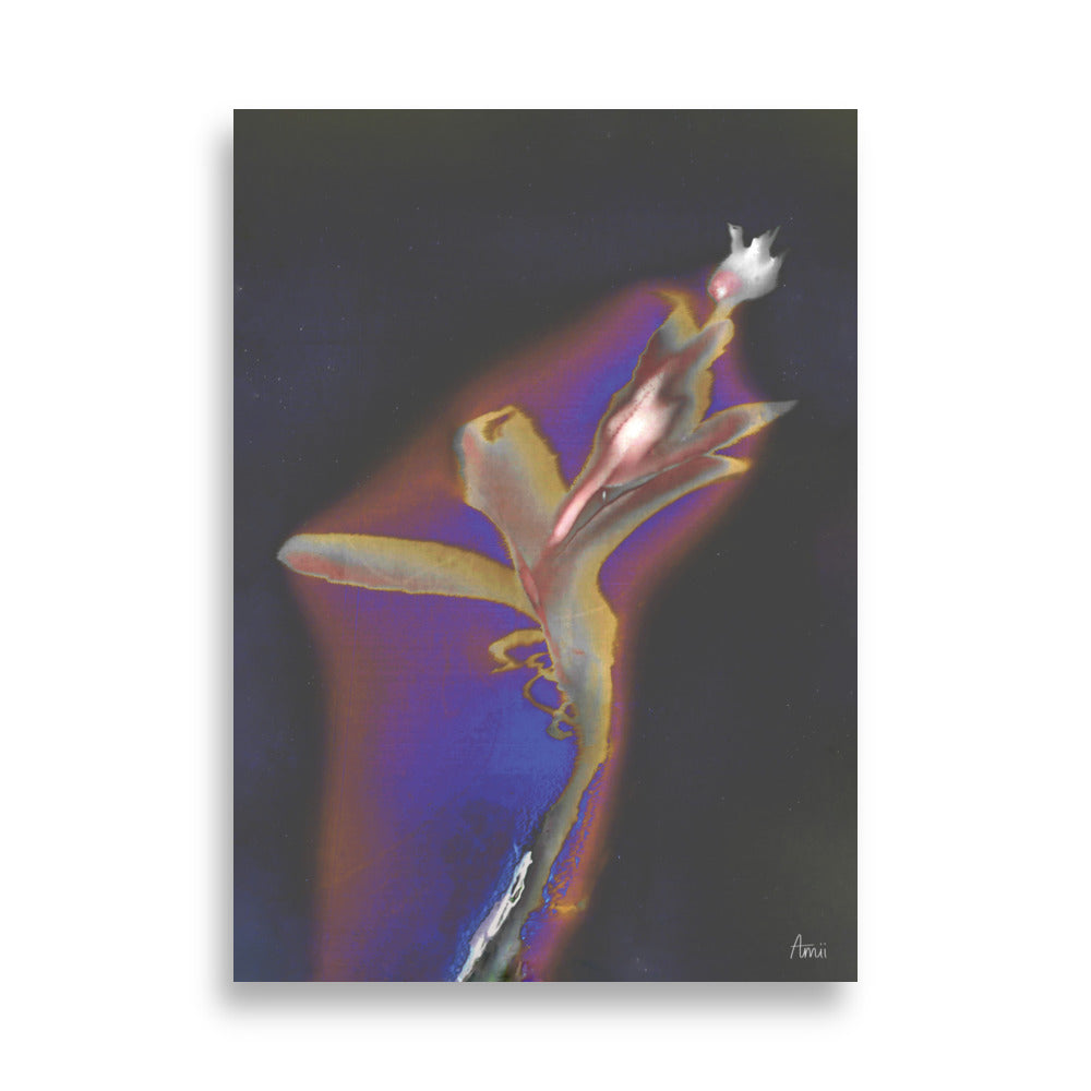 NIGHT SKY - Fine Art Print 50x70cm